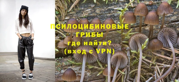 ГАЛЛЮЦИНОГЕННЫЕ ГРИБЫ Тихорецк
