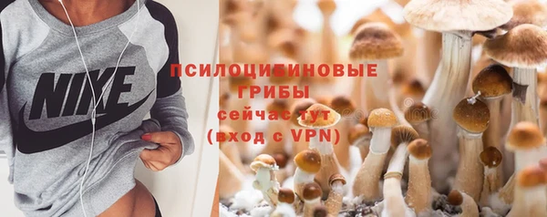 ГАЛЛЮЦИНОГЕННЫЕ ГРИБЫ Тихорецк